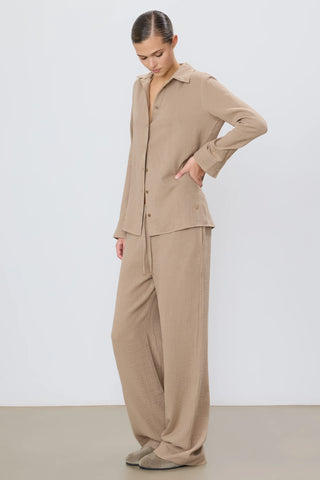 Brody Pant
